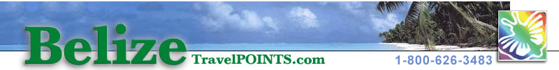 File:Logo-belizetravelpoints-com.gif