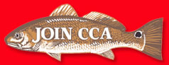 Logo-ccalouisiana-com.jpg