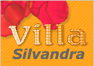 Logo-villasilvandra-com.png