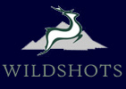 Logo-wildshots-co-uk.jpg
