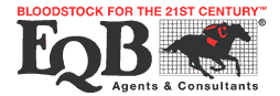 Logo-eqbinc-com.gif