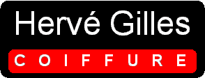 Logo-herve-gilles-com.gif