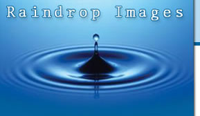 Logo-raindropimage-com.jpg