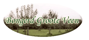 Logo-bongerdgrooteveen-nl.gif