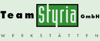 Logo-teamstyria-at.gif