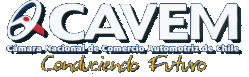 Logo-cavem-cl.gif
