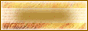 Logo-peizheng-cn.gif