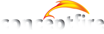 Logo-conceptfire-net.png
