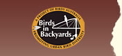Logo-birdsinbackyards-net.jpg