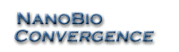 Logo-nanobioconvergence-org.gif