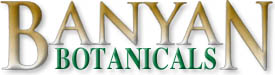 Logo-banyanbotanicals-com.jpg