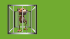 CheekyMunkeySecurity.jpg