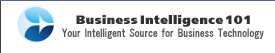 Logo-bi101-net.gif