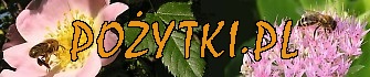 Logo-pozytki-pl.jpg