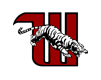 Logo-wittfootball-com.gif