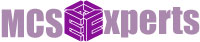 Logo-mcseexperts-com.jpg