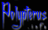 Logo-polypterus-info.gif