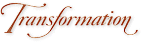 Logo-transformationdetravestido-com.gif
