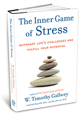 InnerGameStress small.png