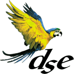 Logo-dse-ie.gif