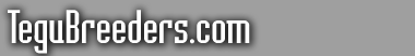 Logo-tegubreeders-com.gif