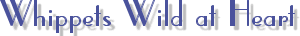 Logo-whippet-zucht-de.gif