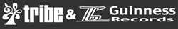 Logo-guinness-records-com.gif
