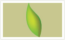 Logo-creaam-fr.jpg