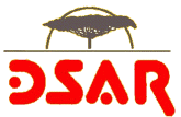 Logo-dsar-de.gif