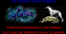 Logo-sandlinewhippet-com.gif