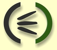 Logo-acusticaintegral-com.jpg