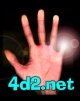 Logo-4d2-net.jpg