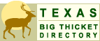 Logo-bigthicketdirectory-com.gif