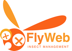 Logo-flywebusa-com.gif