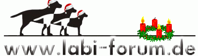 Logo-labi-forum-de.gif