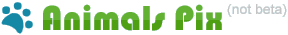 Logo-animalspix-com.png