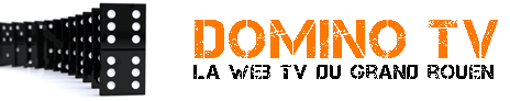Logo-dominotv-fr.gif