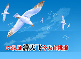 Logo-stcore-com.jpg