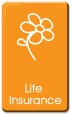 Logo-einsuran-com.gif