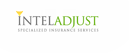 Logo-inteladjust-com.png