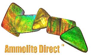 Logo-ammolitedirect-com.jpg