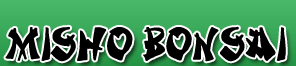 Logo-mishobonsai-com.gif