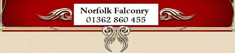 File:Logo-norfolkfalconry-co-uk.png
