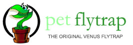 Logo-petflytrap-com.jpg
