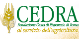 Logo-cedra-it.gif