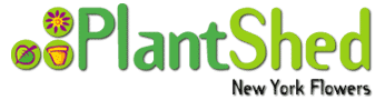 Logo-plantshed-com.gif