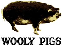 Logo-woolypigs-com.png