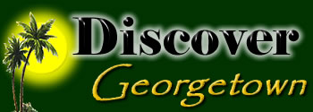 Logo-discovergeorgetown-com.jpg