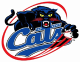 Logo-dfwupdate-com.jpg