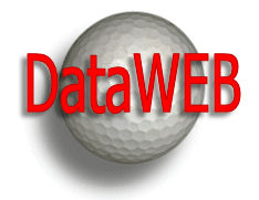 Logo-dataweb-pl.gif